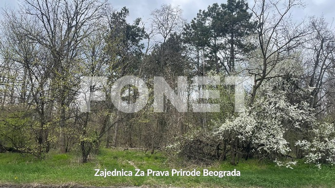 Mapiranje drveća u Košutnjaku